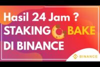 HASIL 24 JAM STAKING BAKE DI BINANCE | PASSIVE INCOME 2021